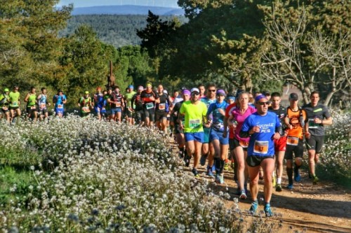 tarahumara Fontanars