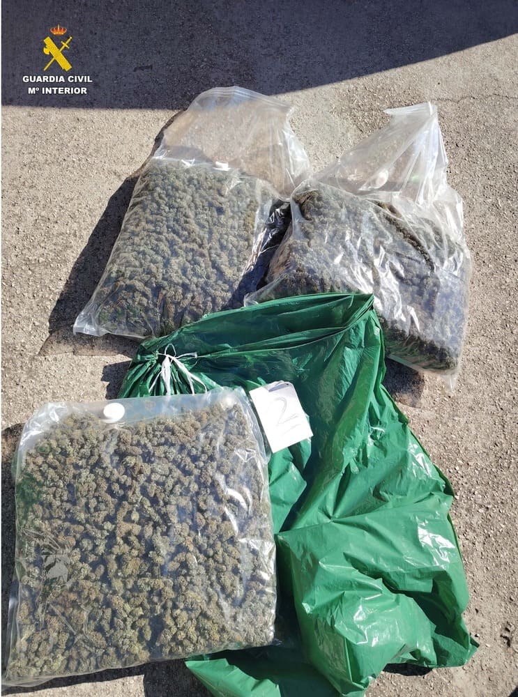 marihuana vall d'albaida (4)